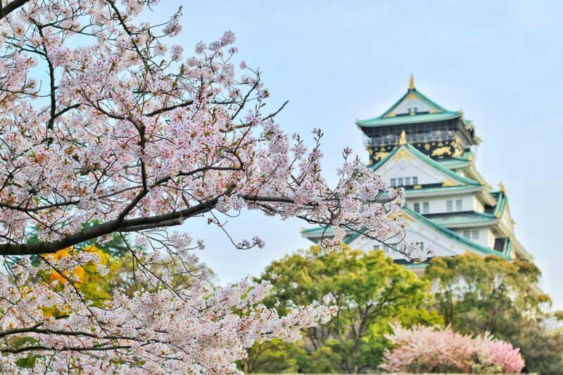 osaka castle in spring